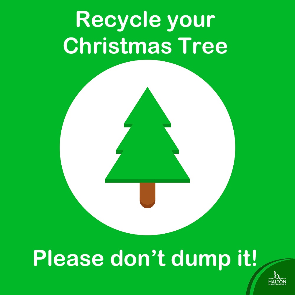 Spruce up your recycling this year.. What to do with your tree after Twelfth Night