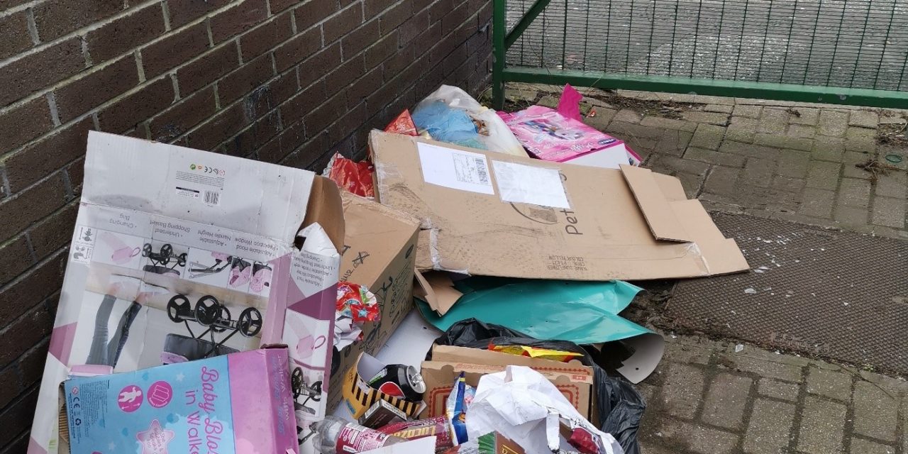 Woman fined after waste left at rear of home