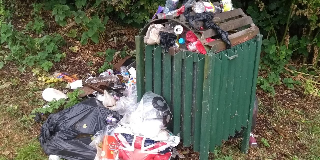 Litterbugs slammed as rubbish scattered on award winning parks