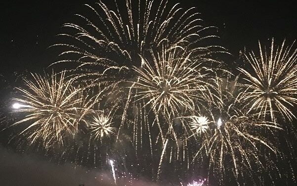 No 2020 fireworks display in Halton