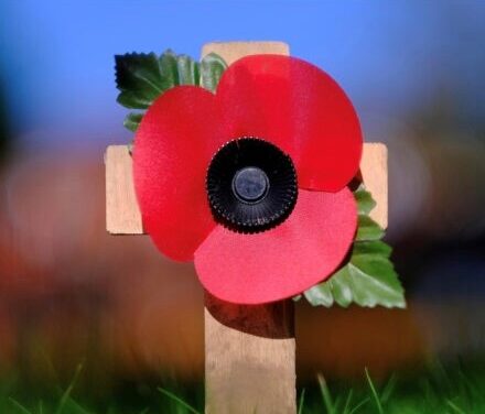 Lest we forget – Remembrance services in Halton