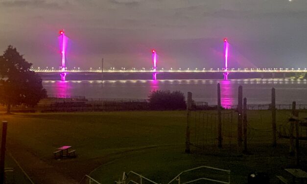 Bridges to light up pink in tribute to those affected by Southport incident