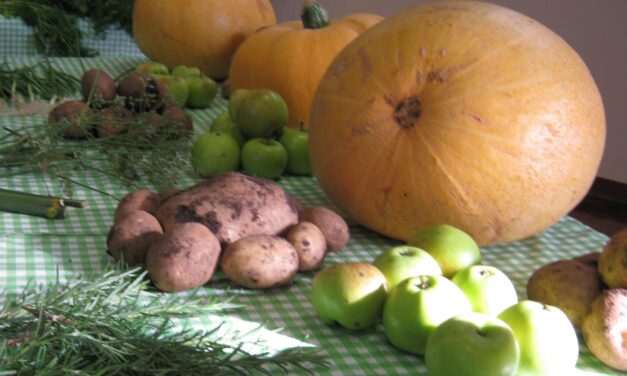 Widnes Horticultural Society Annual Show, September 8th