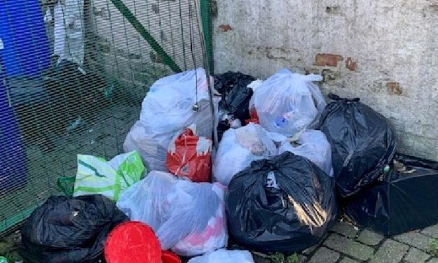 Fly-tipping leads to convictions