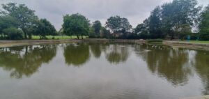 Picture of a pond with trees in the background