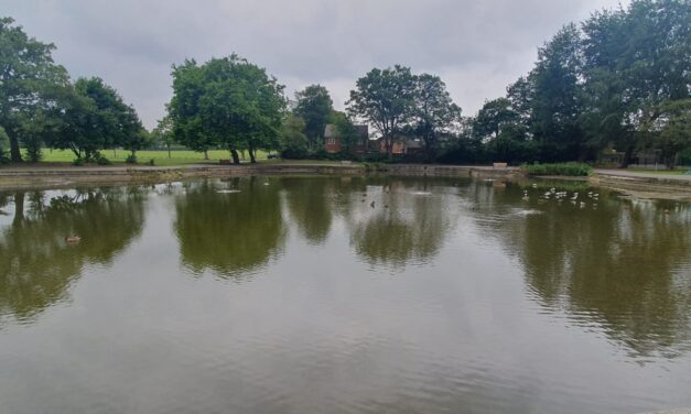 Addressing concerns regarding Runcorn Hill Park pond