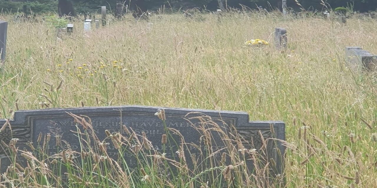 Halton Cemetery Becomes Nature Habitat