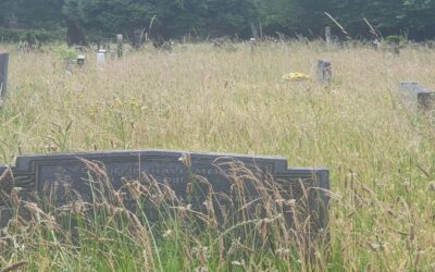 Halton Cemetery Becomes Nature Habitat