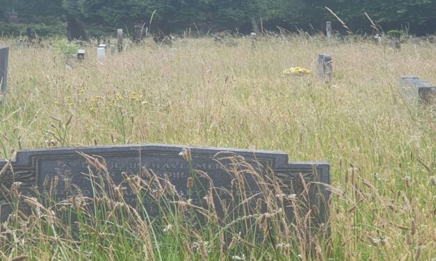 Halton Cemetery Becomes Nature Habitat