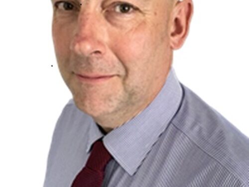 Interim Chief Executive Arrangements