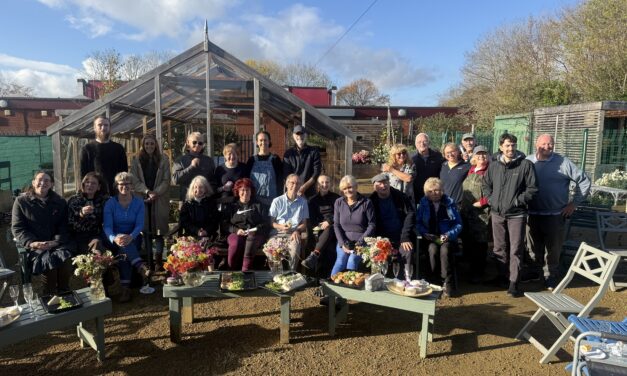 King’s Award for The Wonky Garden