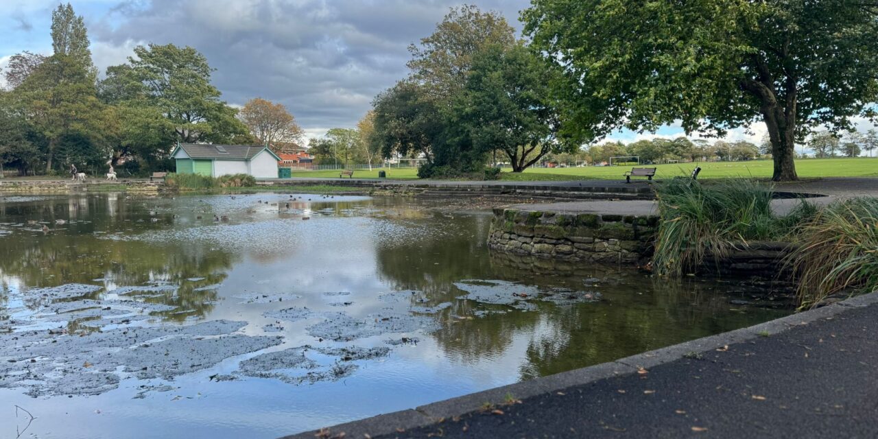 Update on Runcorn Hill Park Pond