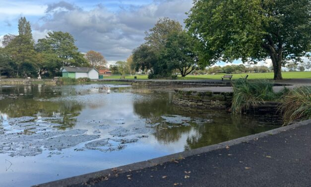 Update on Runcorn Hill Park Pond