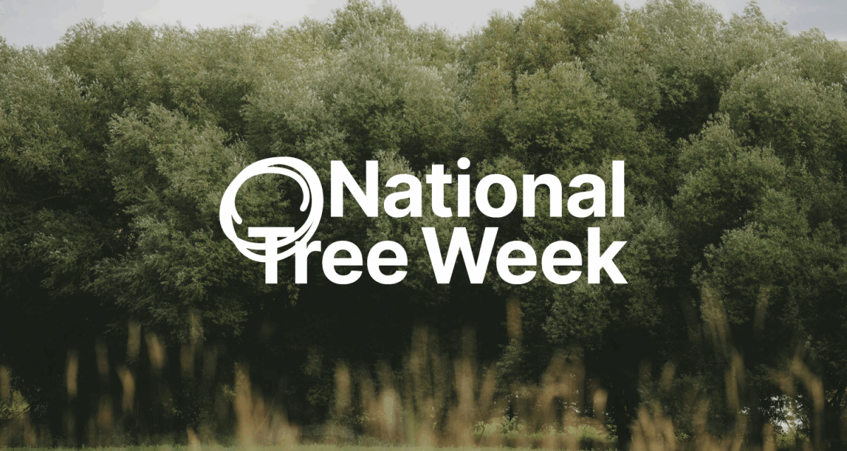National Tree Week in Halton