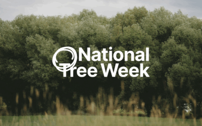 National Tree Week in Halton