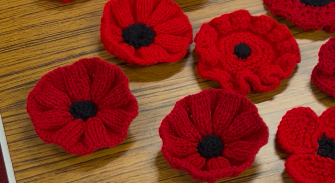 Plans for an ambitious poppy display to honour fallen soldiers