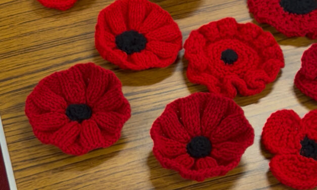 Plans for an ambitious poppy display to honour fallen soldiers