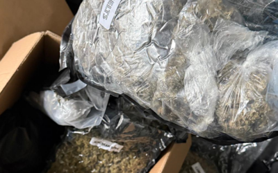 £65k worth of cannabis seized during Runcorn crime operation