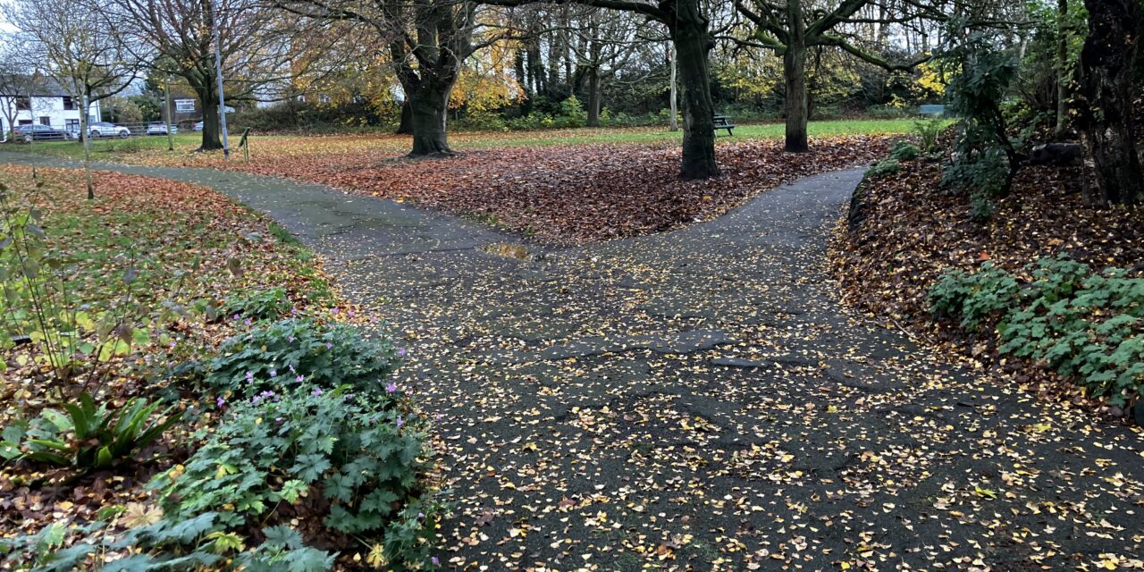 Exciting Improvements Coming to Runcorn Hill: Path Upgrade Works Begin This Week