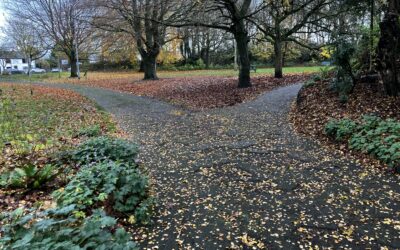 Exciting Improvements Coming to Runcorn Hill: Path Upgrade Works Begin This Week