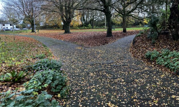 Exciting Improvements Coming to Runcorn Hill: Path Upgrade Works Begin This Week
