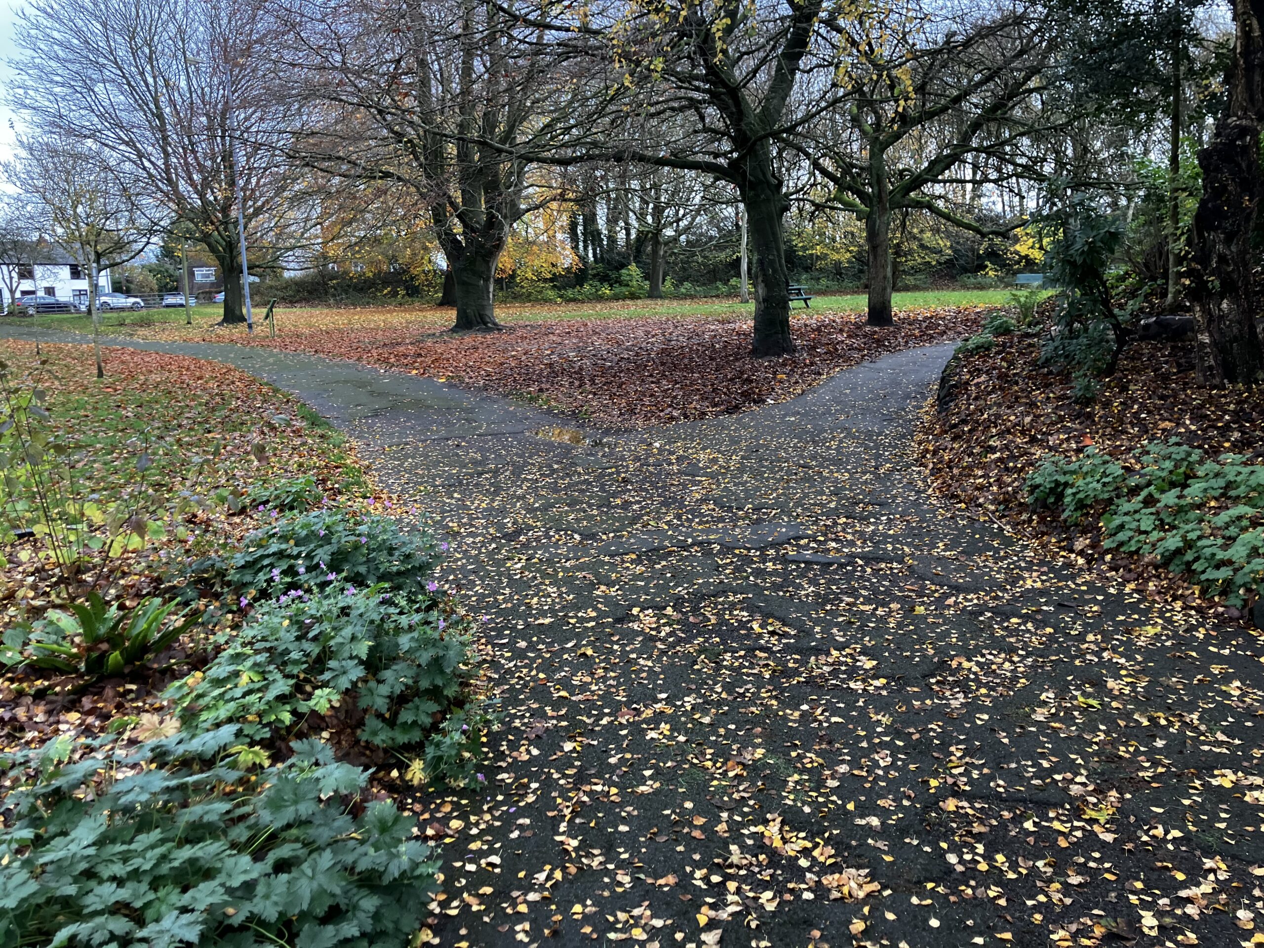 Exciting Improvements Coming to Runcorn Hill: Path Upgrade Works Begin This Week Exciting Improvements Coming to Runcorn Hill: Path Upgrade Works Begin This Week