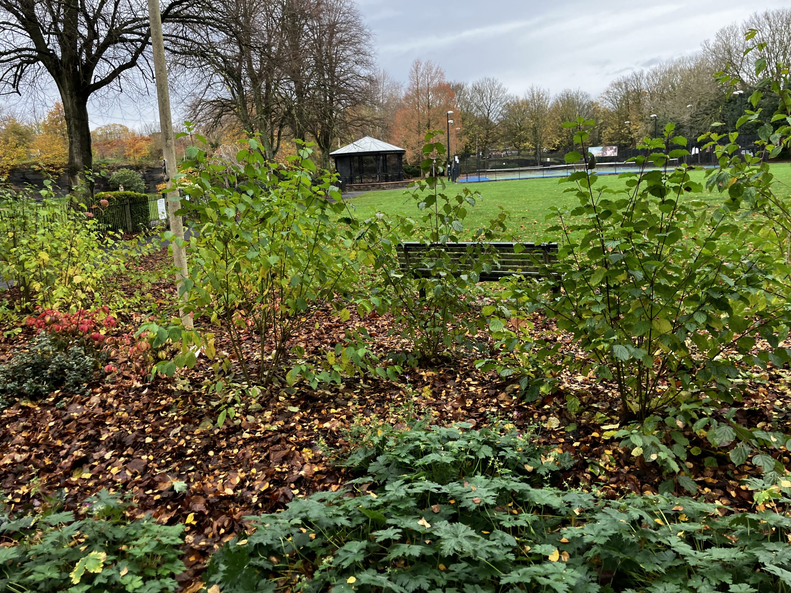 Exciting Improvements Coming to Runcorn Hill: Path Upgrade Works Begin This Week Exciting Improvements Coming to Runcorn Hill: Path Upgrade Works Begin This Week