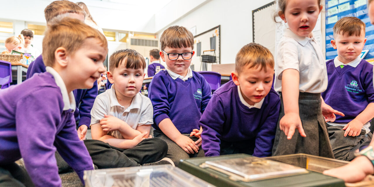 Nature comes alive for schools in Halton