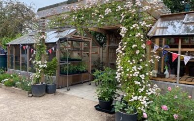 Chelsea Flower Show plants will take root at The Wonky Garden