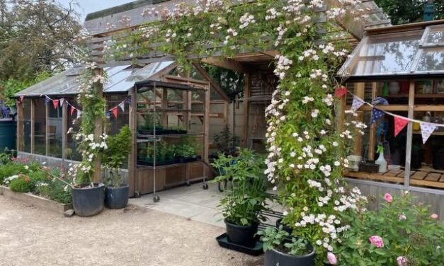 Chelsea Flower Show plants will take root at The Wonky Garden