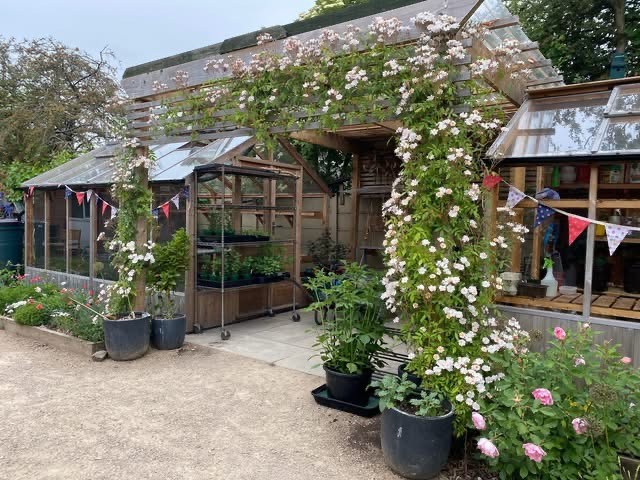 Chelsea Flower Show plants will take root at The Wonky Garden